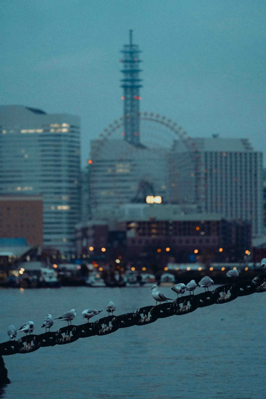BAYSIDE 03