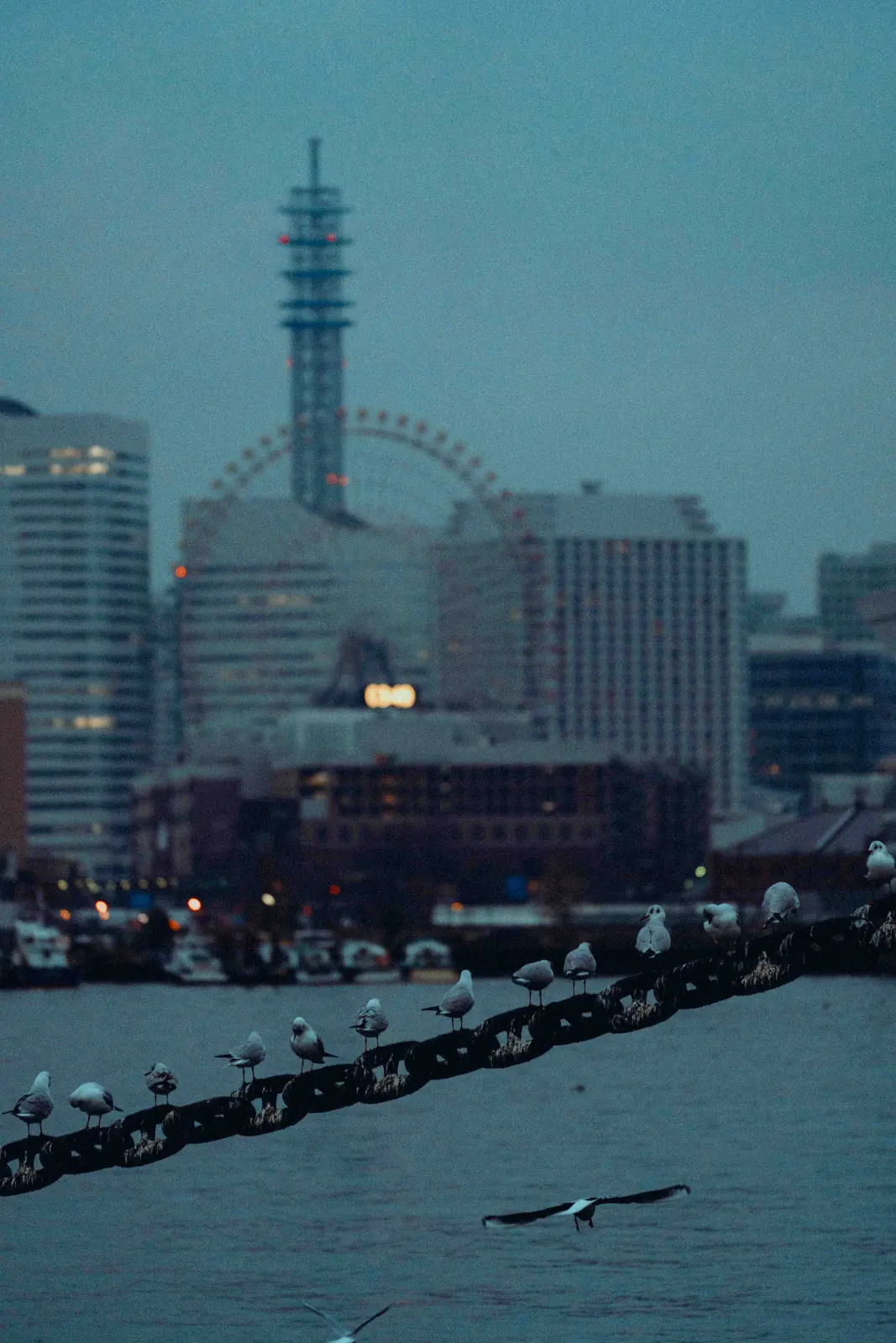 BAYSIDE 05