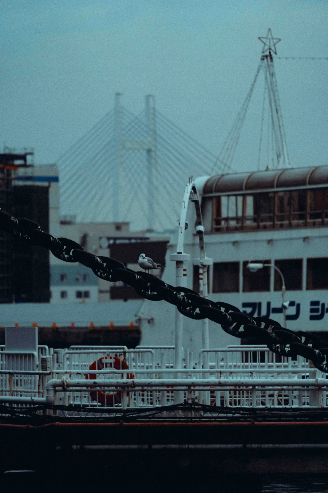 BAYSIDE 10