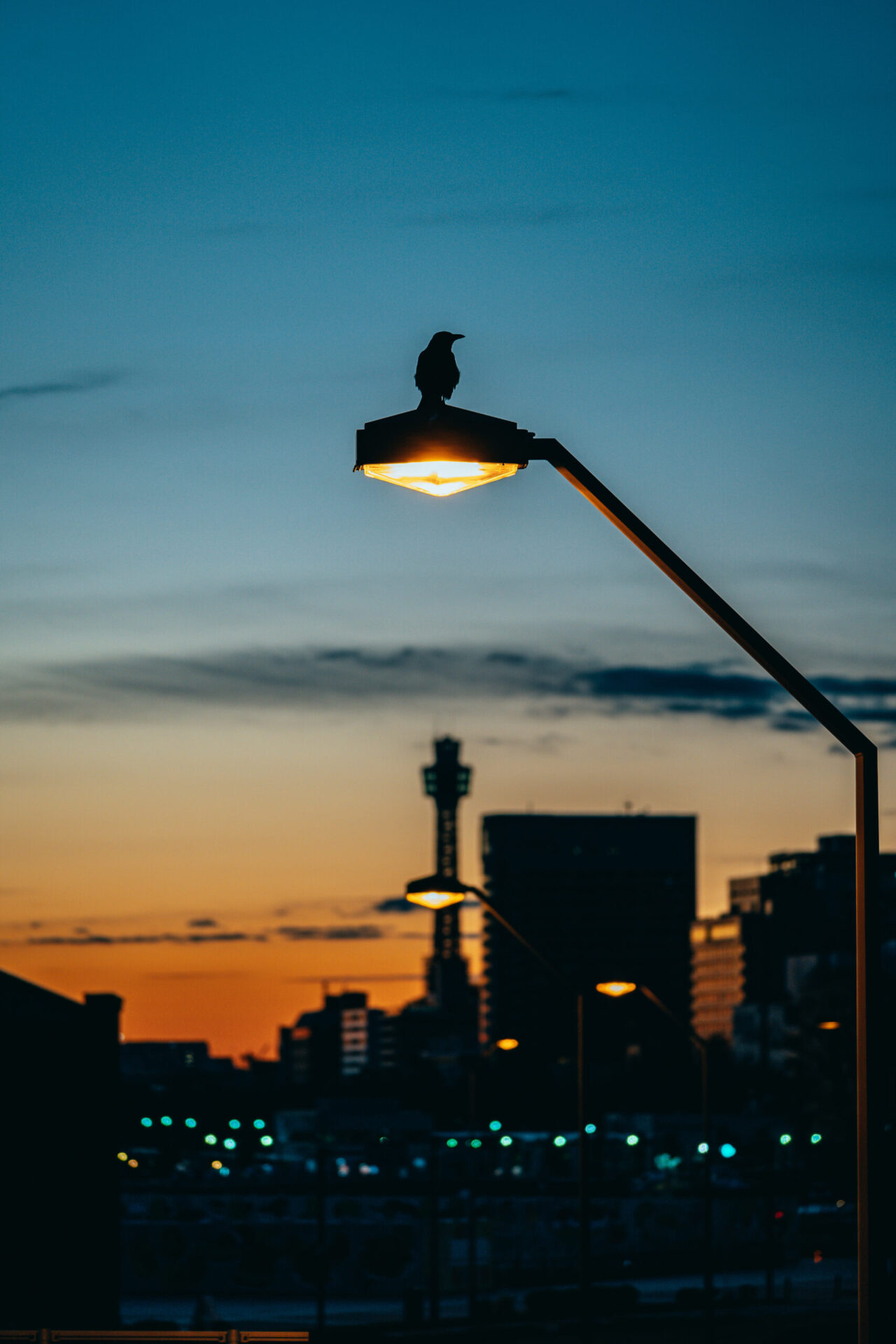Kannai. Dusk atmosphere.