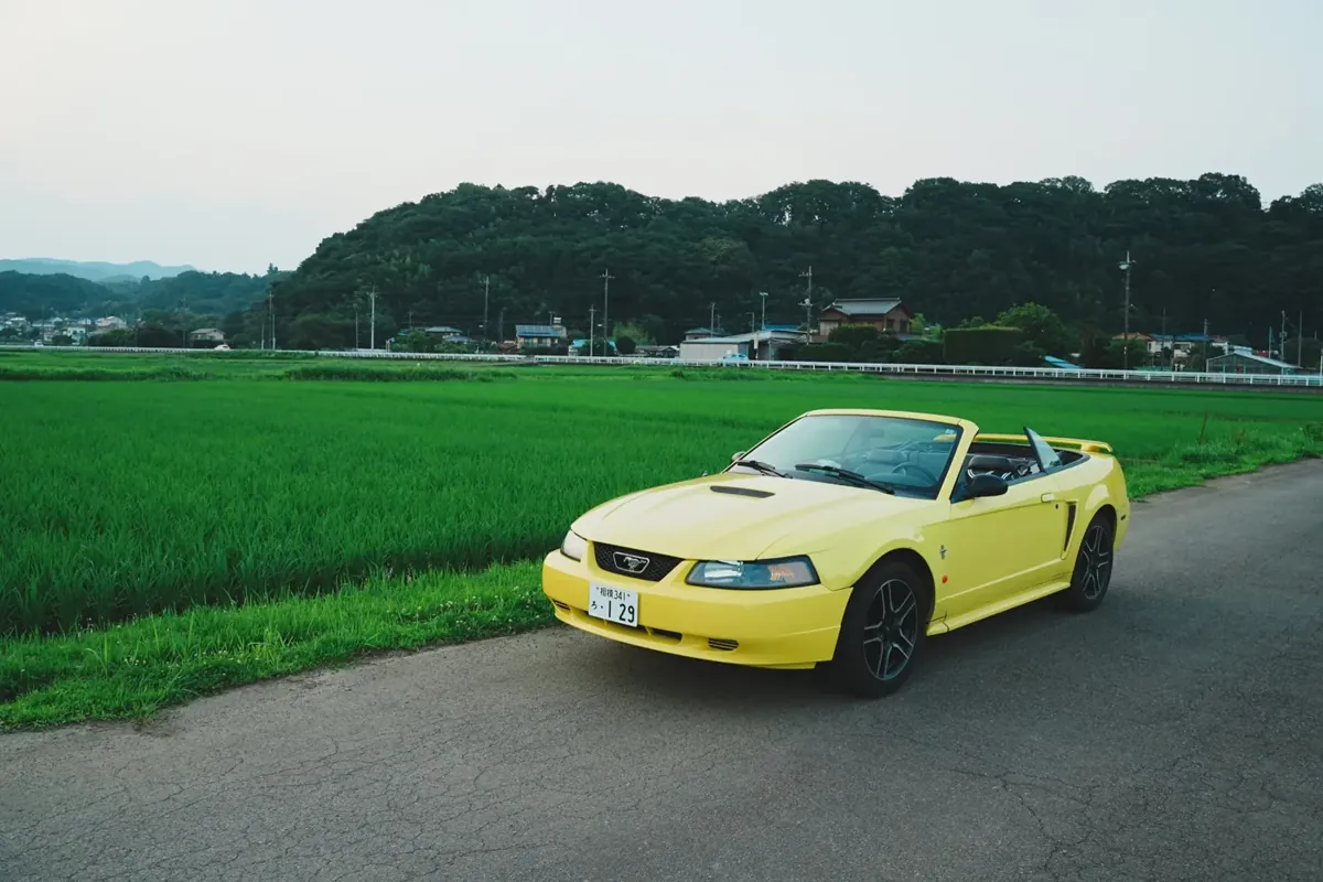 田んぼ道の黄色いマスタング