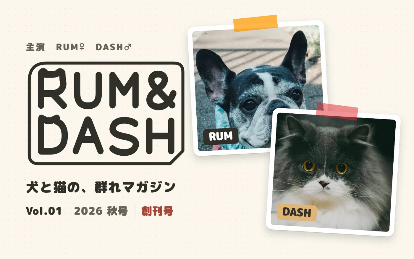 犬と猫の、群れマガジン。写真とWebで積み重ねるアーカイブ。