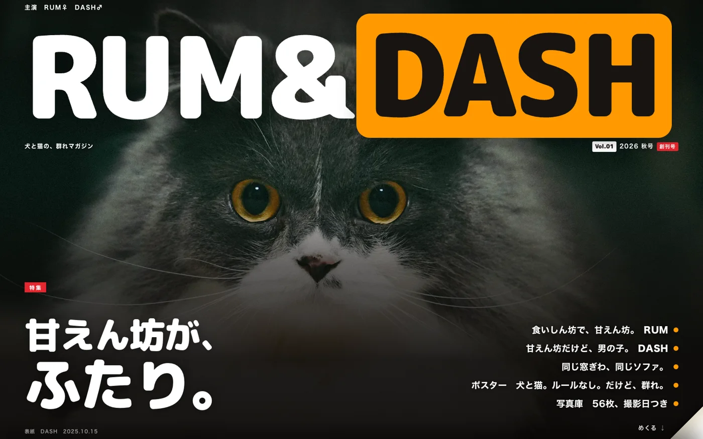 犬と猫の、群れマガジン。写真とWebで積み重ねるアーカイブ。